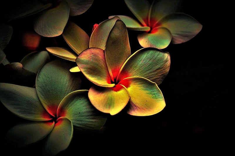 Abstract Fusion